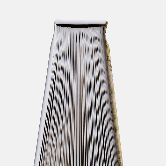 Professional-grade print quality