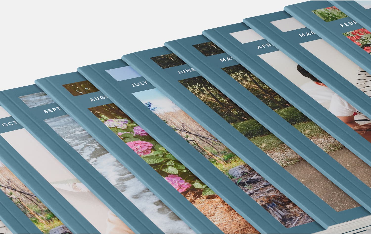 A year of Monthbooks fanned out showing each month from February to October